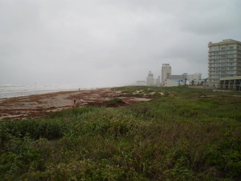 Hurricane Alex 016.jpg