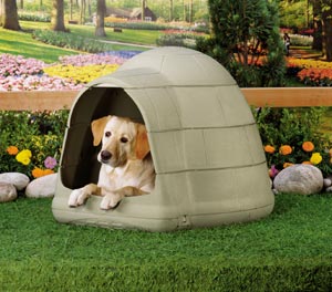 Igloo-Dog-House.jpg