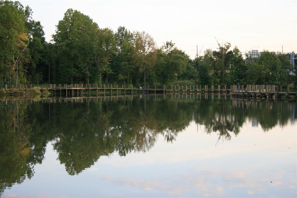 IMG_0041__Large_.JPG