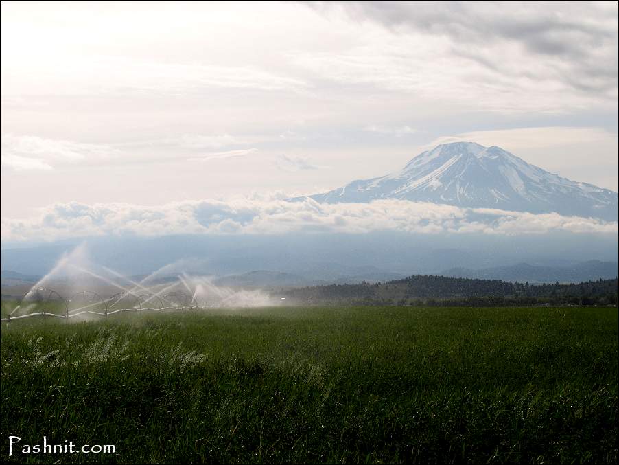 Img_0238_MtShasta.jpg