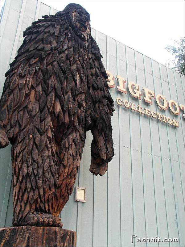 Img_1729_bigfoot_museum.jpg