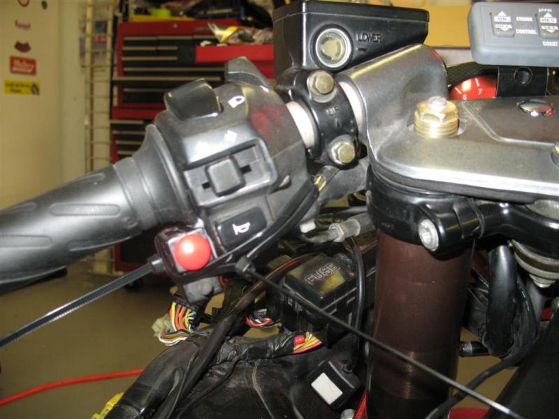 IMG_4693 (Large).jpg