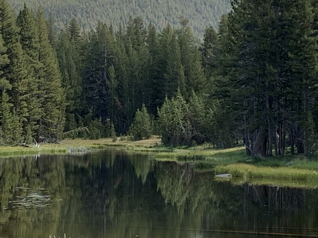 IMG_6156.jpeg