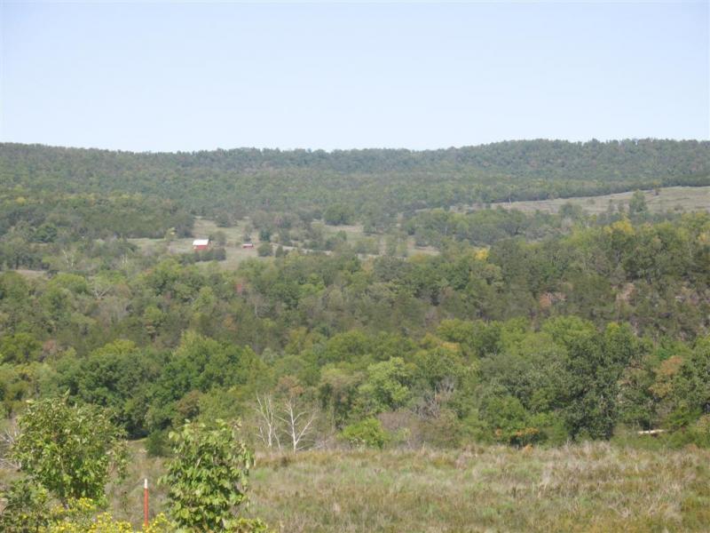 IMG_9320 (Large).jpg