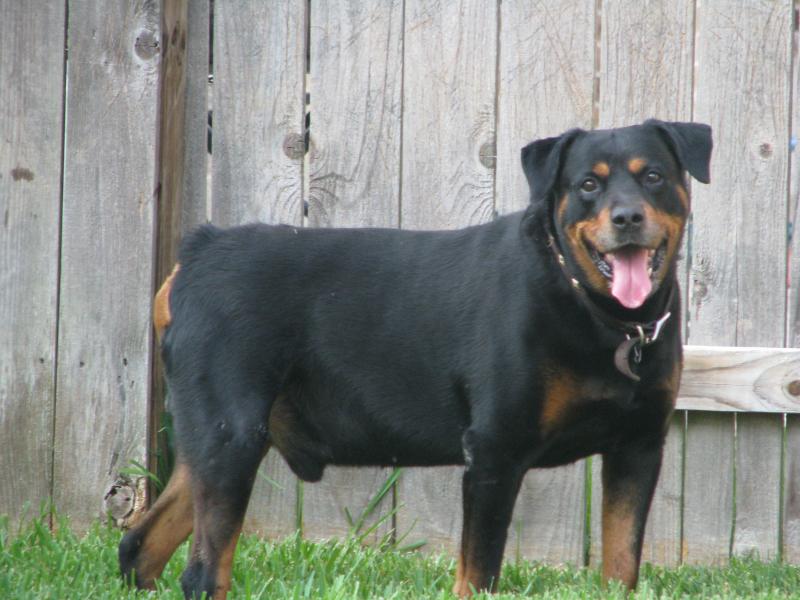 Imported Photos 00406.jpg