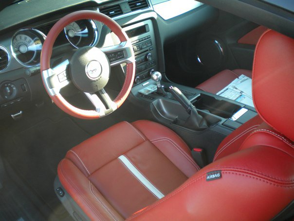 inside my 1st stang.jpg