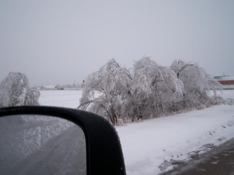 January 2010 Ice Storm 013.jpg