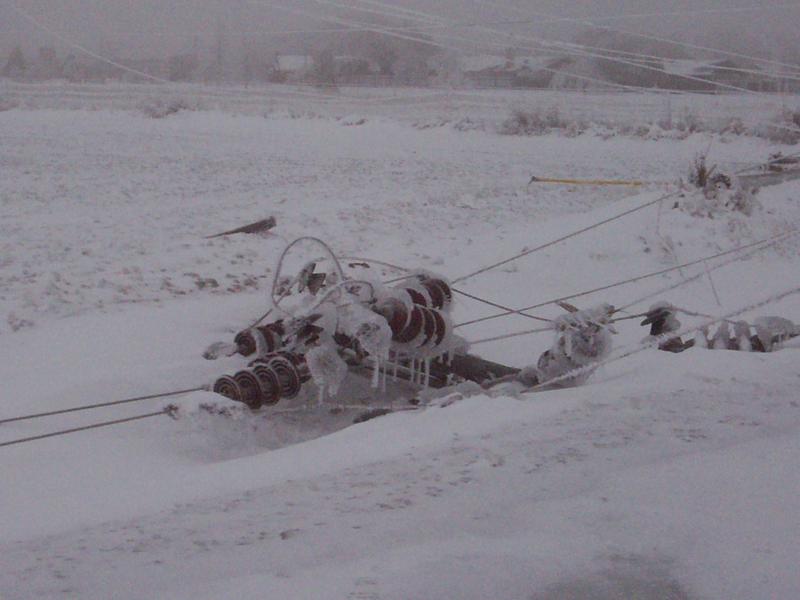 January 2010 Ice Storm 015.jpg