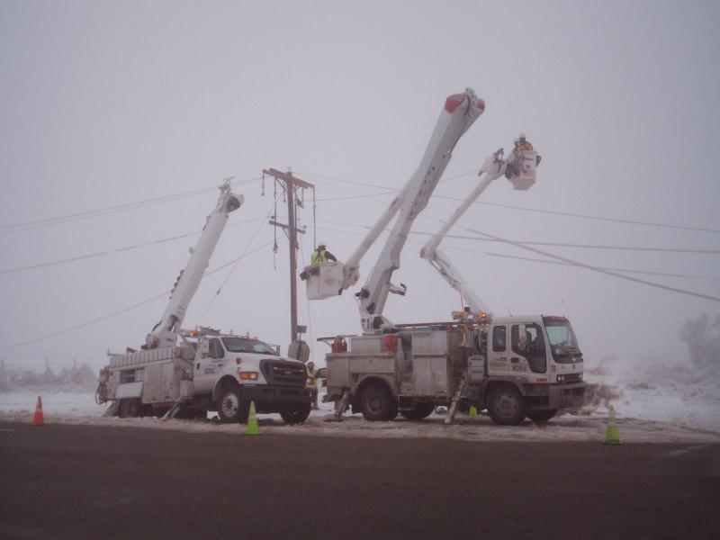 January 2010 Ice Storm 026.jpg