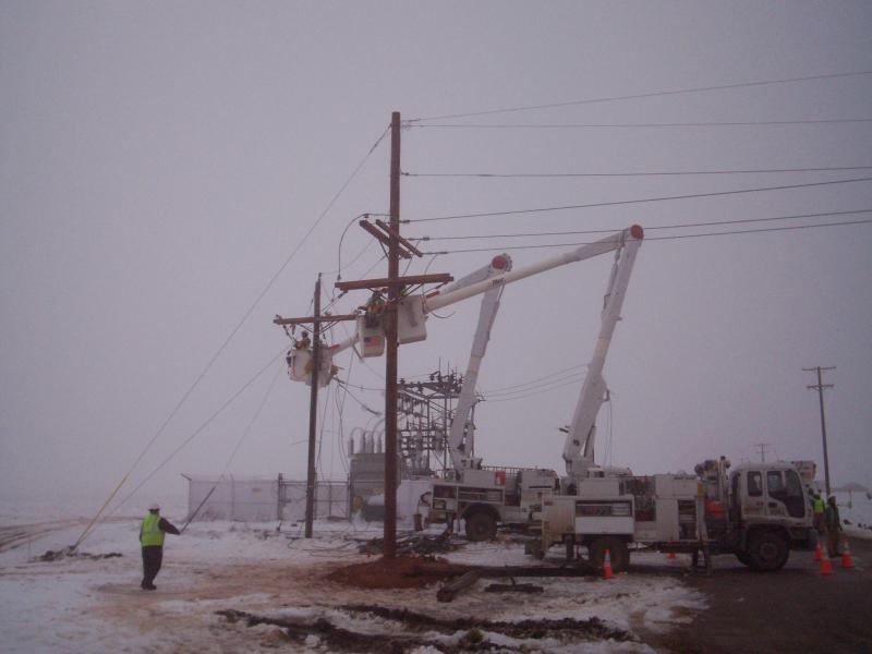 January 2010 Ice Storm 032.jpg