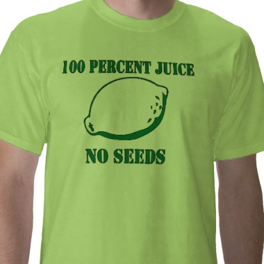 juice_no_seeds_tshirt-p235937519709987369s5up_380.jpg