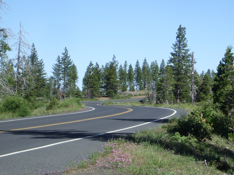 June 30 2010 hwy162 014b.jpg