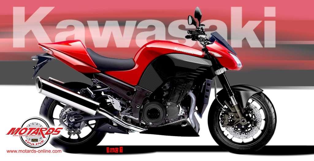 kawasaki_z1400_naked_2_1___2_.jpg