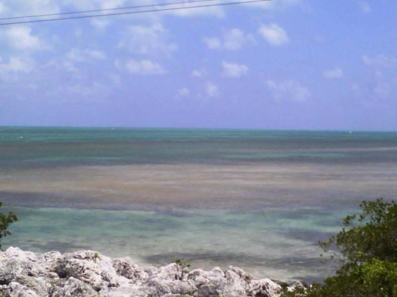 key west to chatahoochie 015.jpg