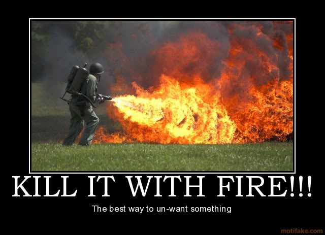 kill-it-with-fire-demotivational-po.jpg