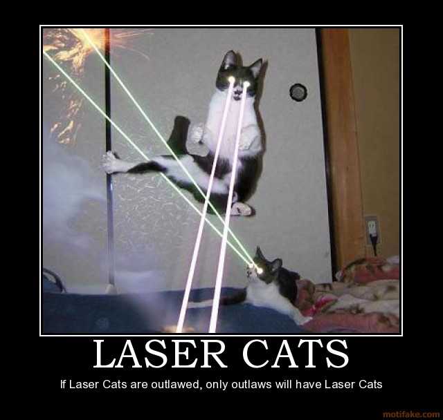 laser-cats-laser-cats-demotivational-poster-1222228062.jpg