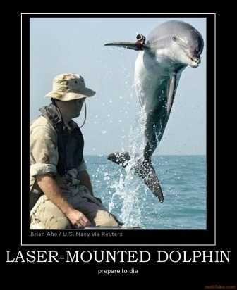 laser-mounted-dolphin-dolphins-dezth-awesome-demotivational-poster-1216686567.jpg