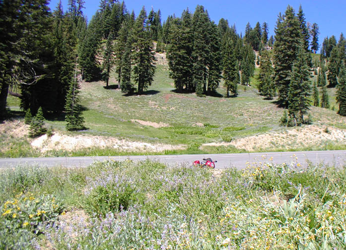 Lassen_hwy44_021.jpg