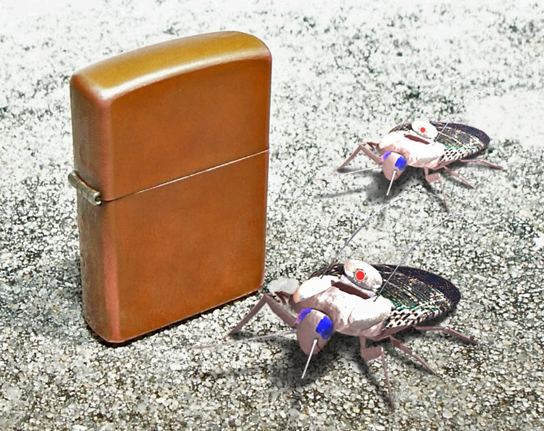 LIghter2ROACHBOT.jpg