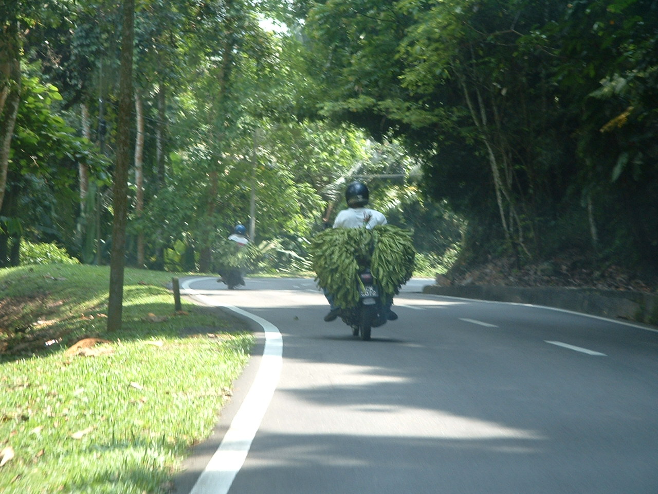 Malaysia_064.jpg