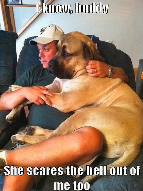man and dog bond.jpg