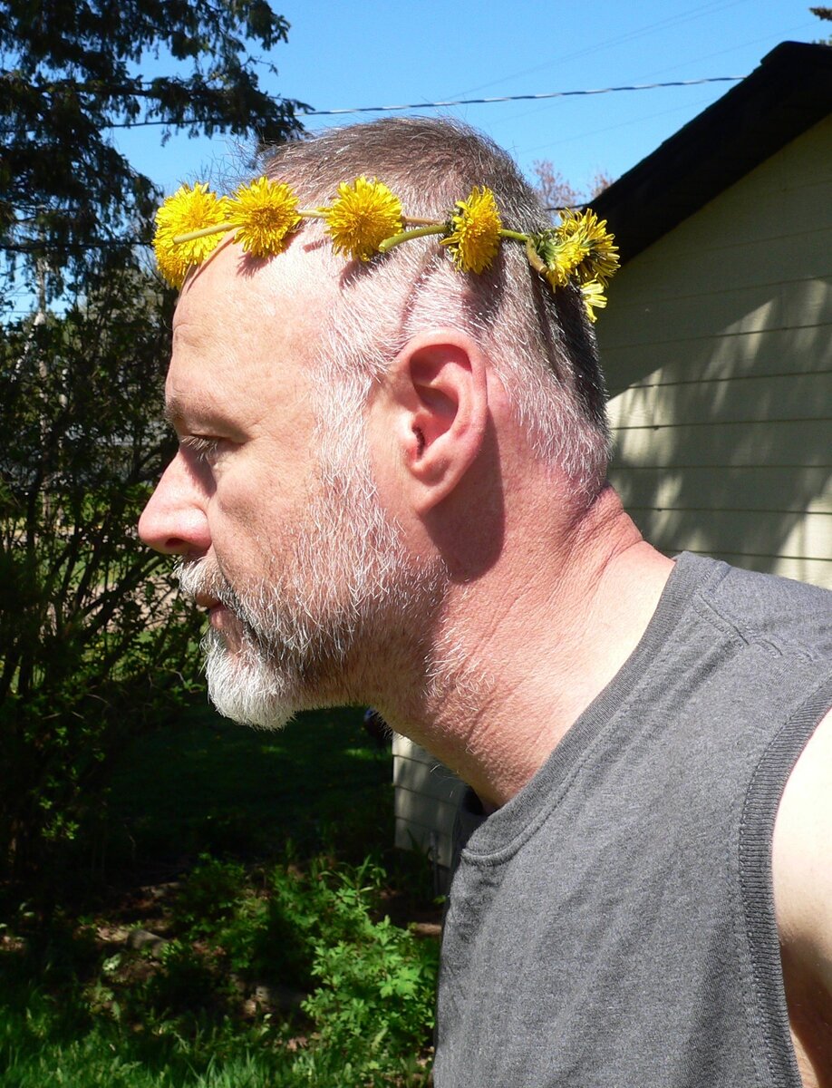 me.dandelion.crown.jpg