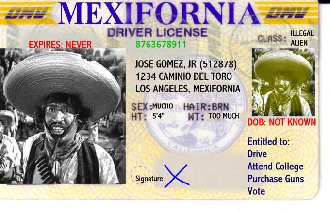 Mexican License 2.jpg