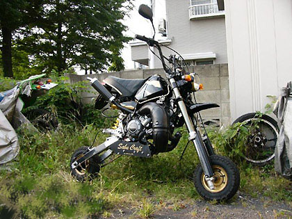 Mini-Bike-Mini2.jpg