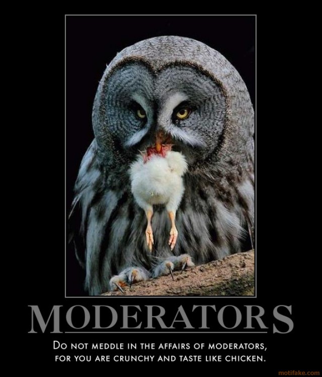 moderators-does-ripped-off-and-paraphrased-count-demotivational-poster-1256402212.jpg