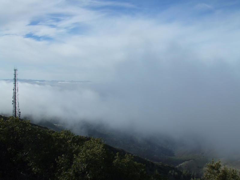 Mt. Diablo dec 08 008.jpg