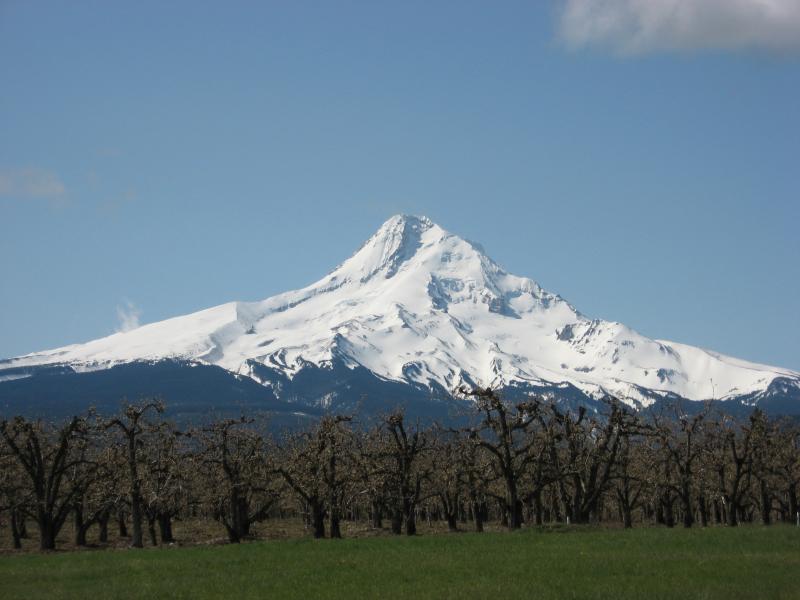 mthood.jpg