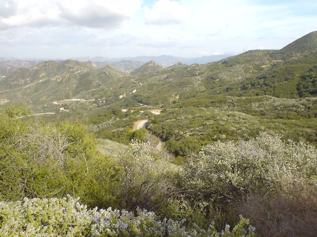 Mulholland_Overlook_1.JPG