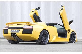 Murcielago_2_Small.JPG