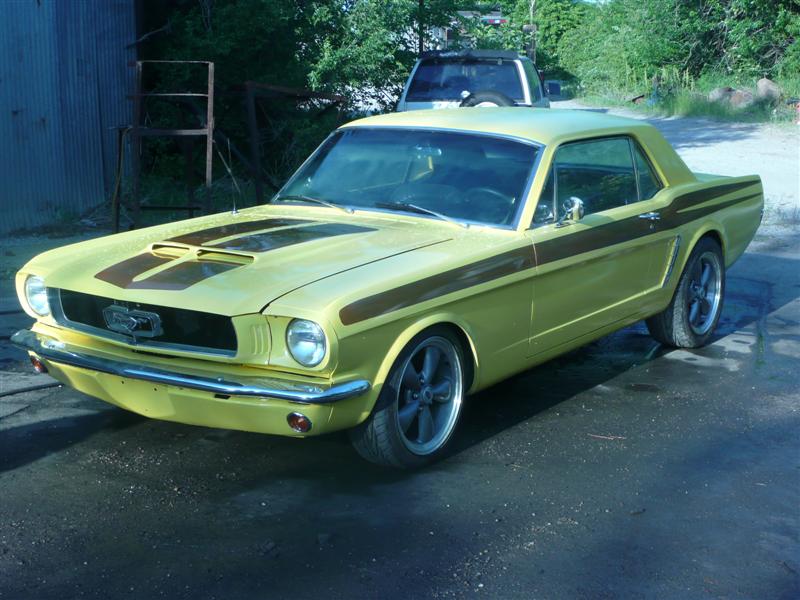 mustang 008 (Medium).jpg