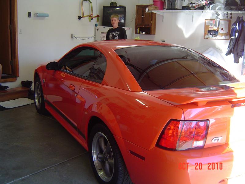Mustang GT 40th Anniversary 007.jpg