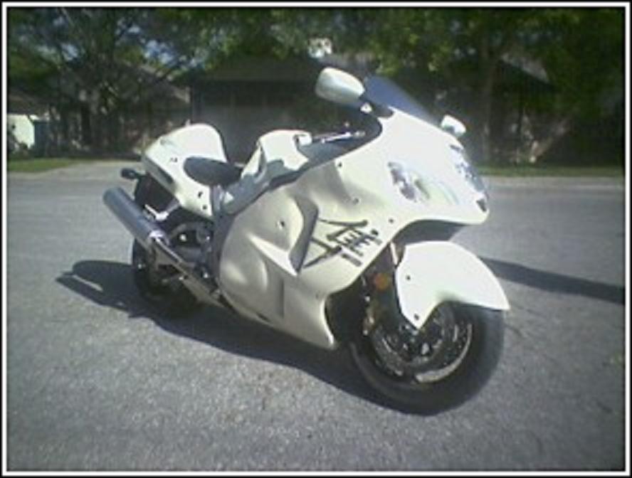 my_Busa3.jpg