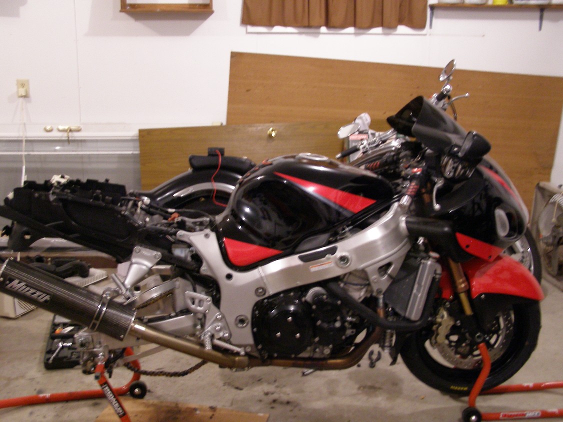 Naked_Busa_6.JPG_org.jpg