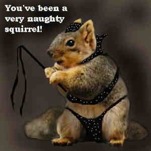 naughty_squirrel.jpeg