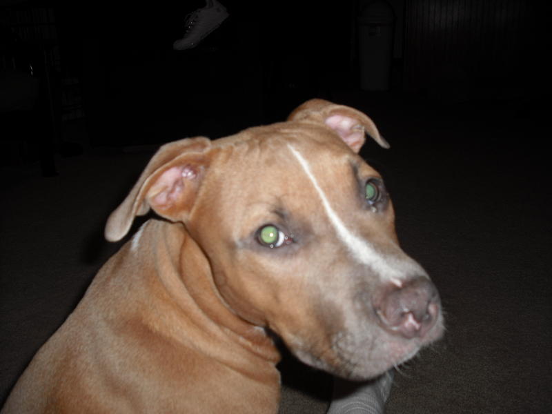 new camera 025.jpg