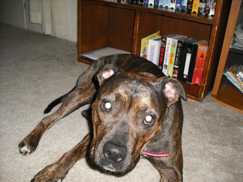new camera 026.jpg