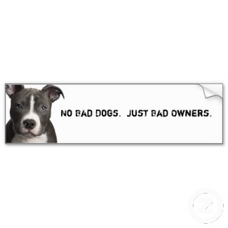 no_bad_dogs_just_bad_owners_bumper_sticker-p12850594375543960583h9_325.jpg