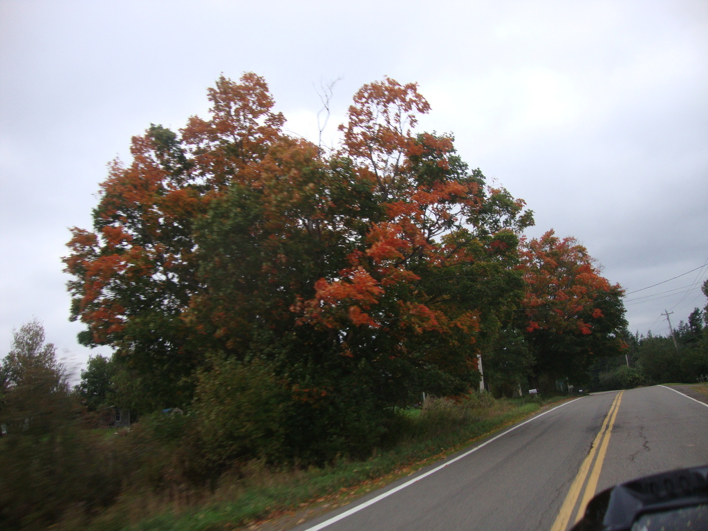 novascotiaride124.jpg