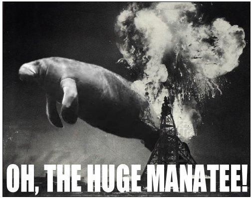 ohTheHugeManatee.jpg