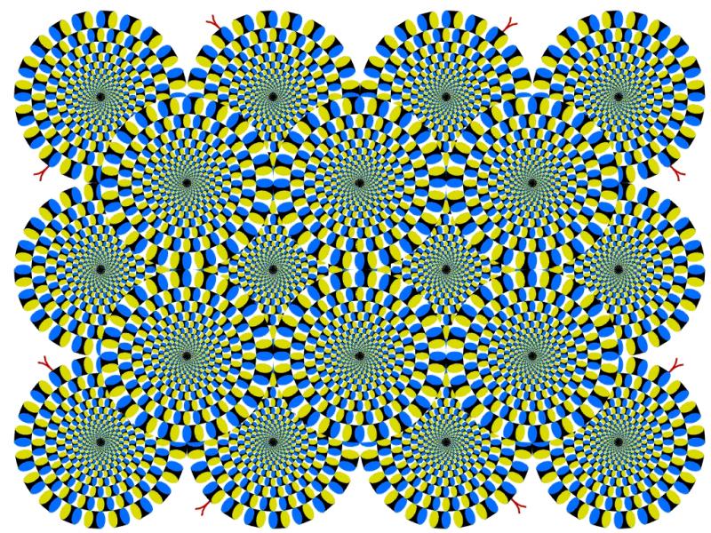 optical-illusion-wheels-circles-rotating.jpg