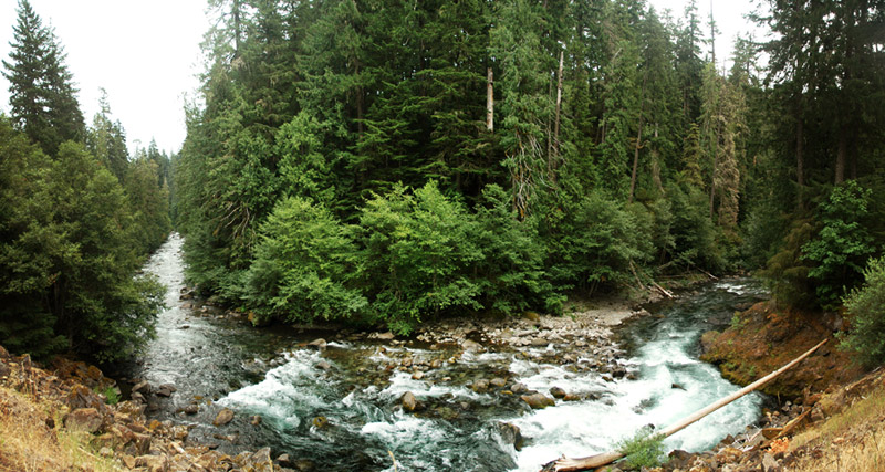 OregonRiver.jpg