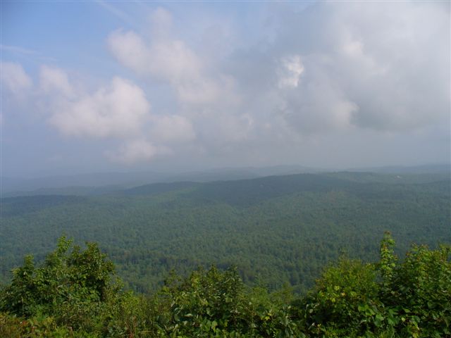 P1020488.JPG