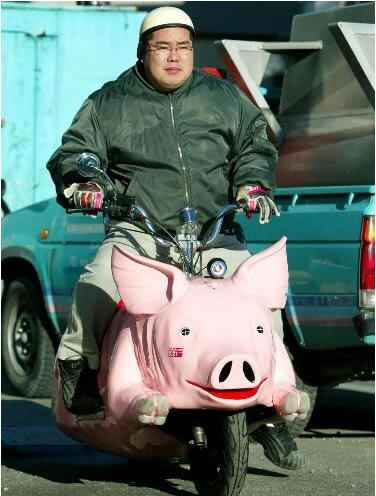 pig_bike.jpg