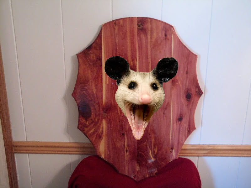 PossumHead.jpg