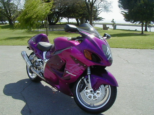 post_6_22022_Purple_Busa2.jpg