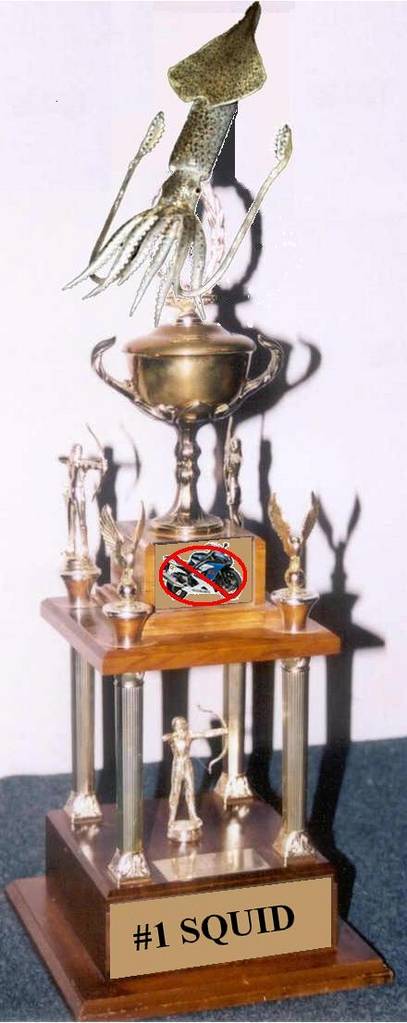 post_6_51353_41375squid_award.jpg